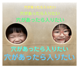 376390242