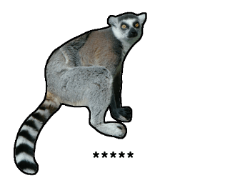 376424311