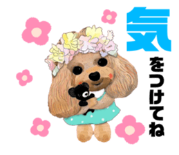 376426403