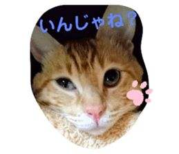 376468391