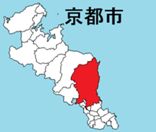 376536262