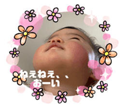 376540494