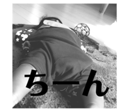 376542271