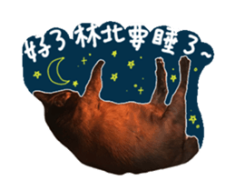 37654979