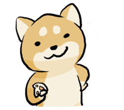 376550776