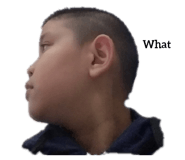 376558119