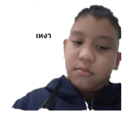 376558121