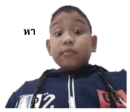 376558122