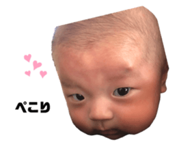 376565690