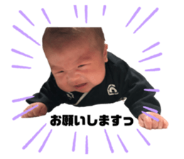 376565691