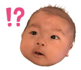376565699