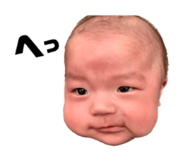 376565714