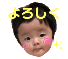 376565953