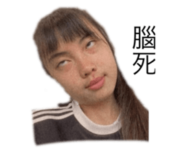 376566154