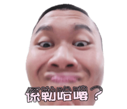 376566449