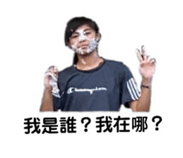 376566457