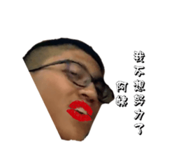 376566458