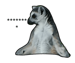 376577010