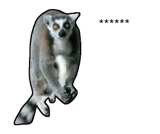 376577015