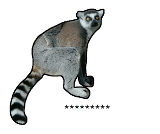 376577023