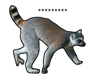 376577024