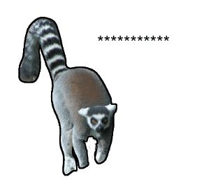 376577025