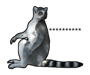 376577027