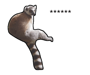 376577029