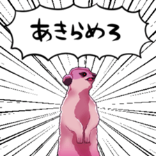 376577603