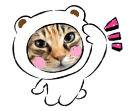 376585713