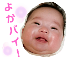 376586293