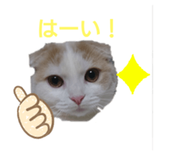 376589098