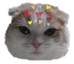 376589099