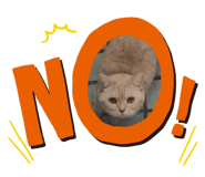 376608196