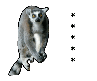 376608447