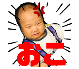 376609156