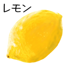 376622691