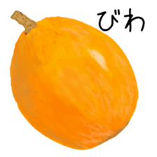 376622712