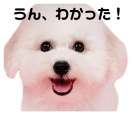 376656924