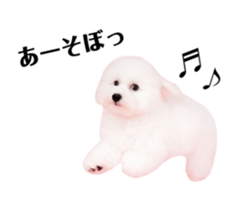 376656925