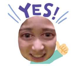 376661797