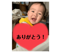 376675137