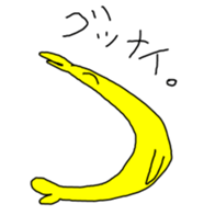 376676117