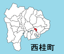 376736234