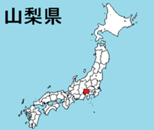 376736245