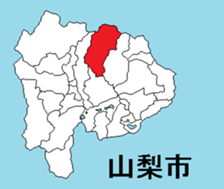 376750169