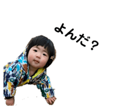 376781941