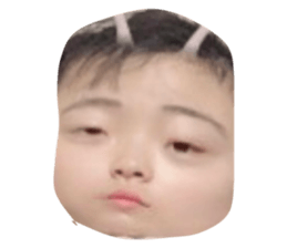 376782495