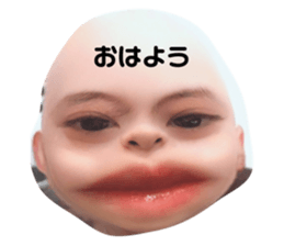 376782498