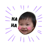 376786393